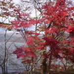 2011_1113_124202-DSCN0655