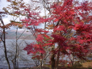 2011_1113_124202-DSCN0655