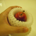 2011_1129_164520-DSCN0668