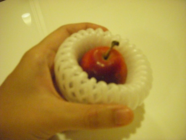 2011_1129_164520-DSCN0668