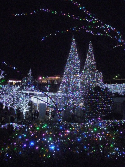 2011_1225_174742-DSCN0680