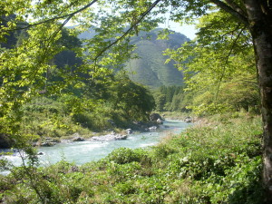 2013_1003_094652-DSCN0940