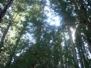 2013_1003_104428-DSCN0947