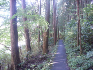 2013_1003_104448-DSCN0948