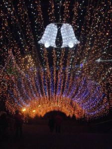 2014_1224_194106-DSCN1053