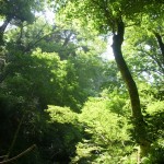 2007_0101_000000-dscn0978